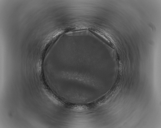 X0000113270402200909241547