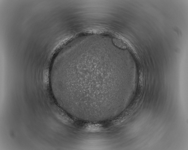 X0000113270403200909241547