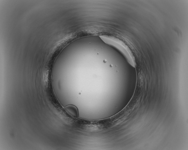 X0000113270404200909241547