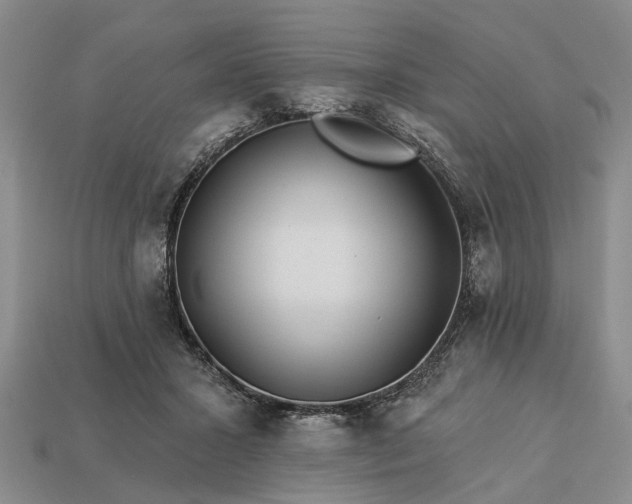 X0000113270407200909241547