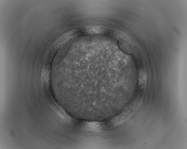 X0000113270409200909241547