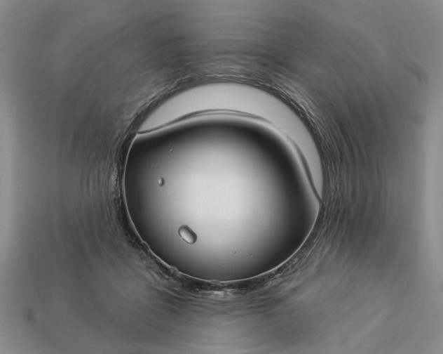 X0000113270411200909241547