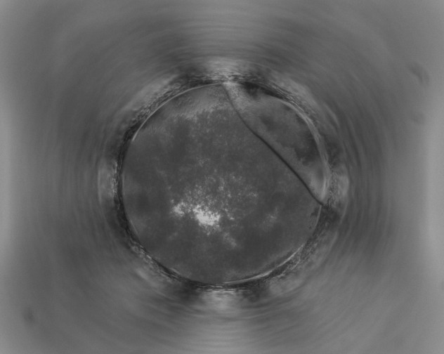 X0000113270413200909241547