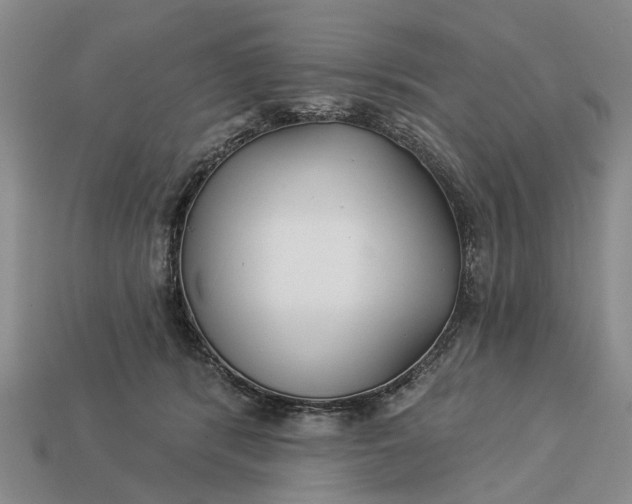 X0000113270416200909241547