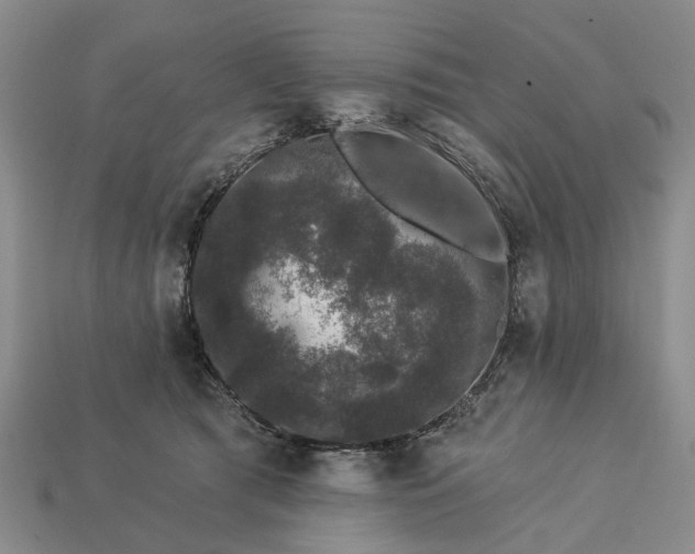 X0000113270417200909241547