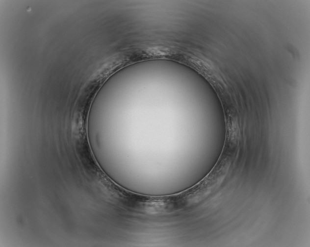 X0000113270418200909241547