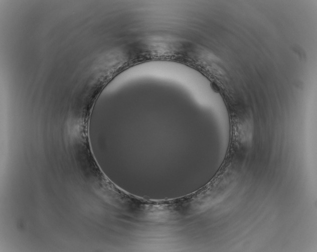 X0000113270419200909241547