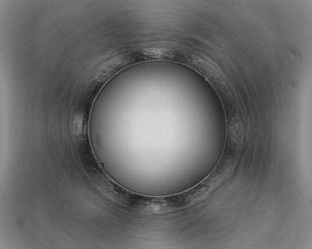 X0000113270420200909241547