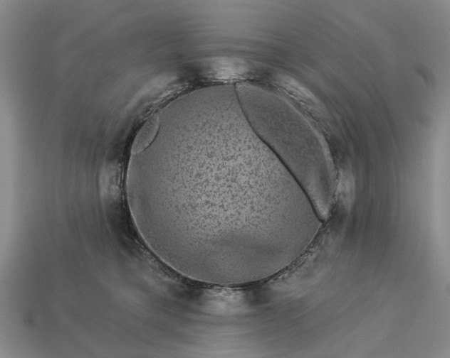 X0000113270421200909241547