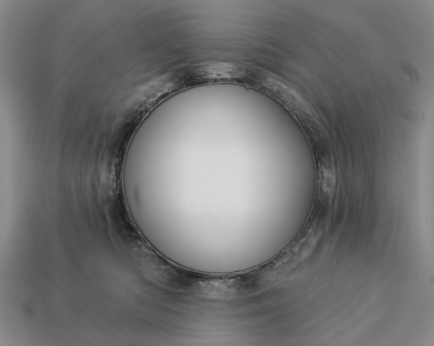 X0000113270422200909241547