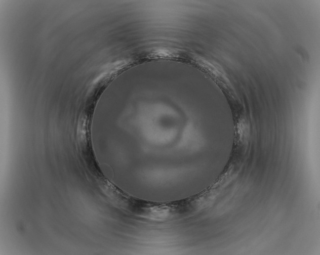 X0000113270423200909241547