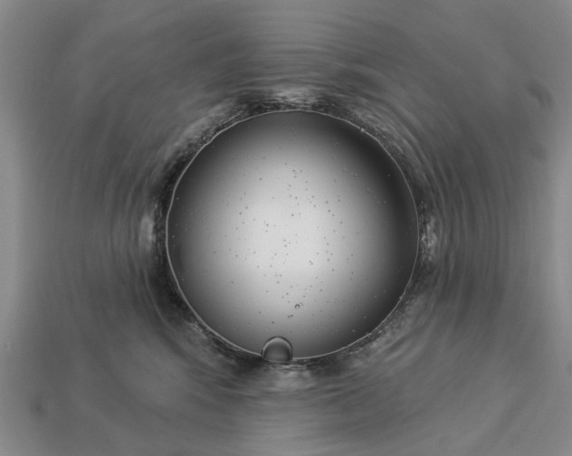 X0000113270424200909241547