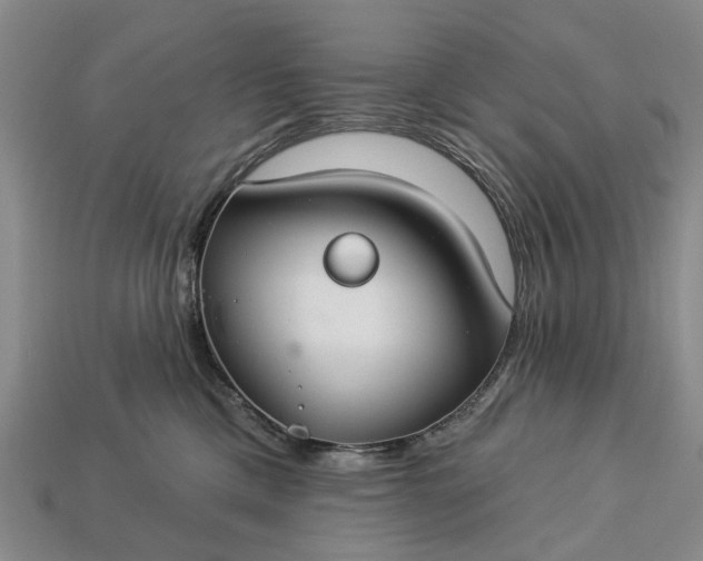 X0000113270425200909241547