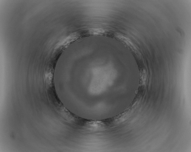 X0000113270427200909241547