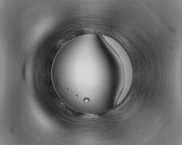 X0000113270429200909241547