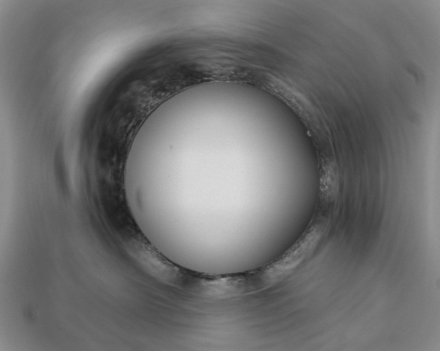 X0000113270430200909241547