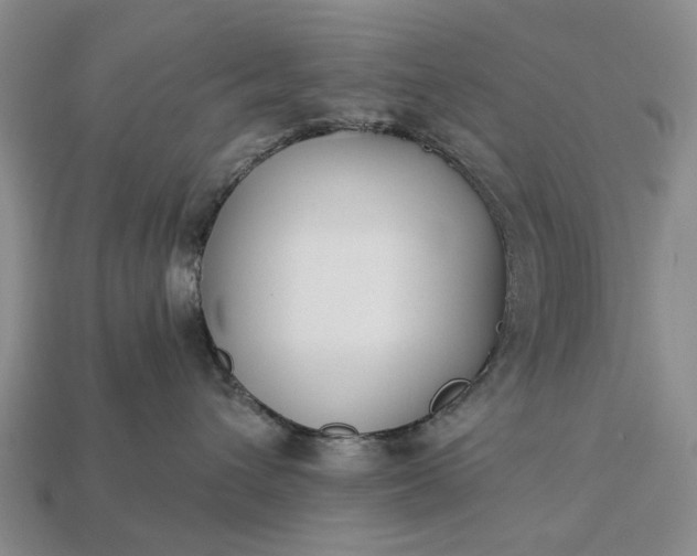 X0000113270432200909241547