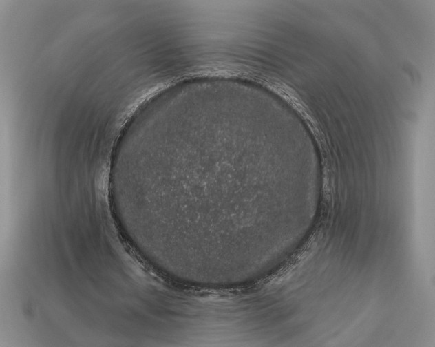 X0000113270434200909241546