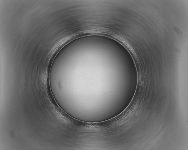 X0000113270437200909241546