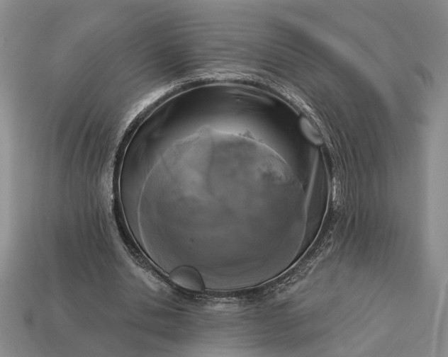 X0000113270438200909241546