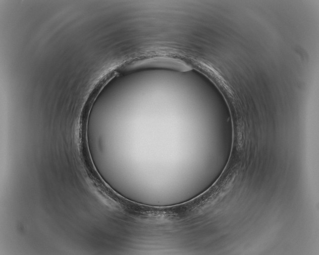 X0000113270439200909241546