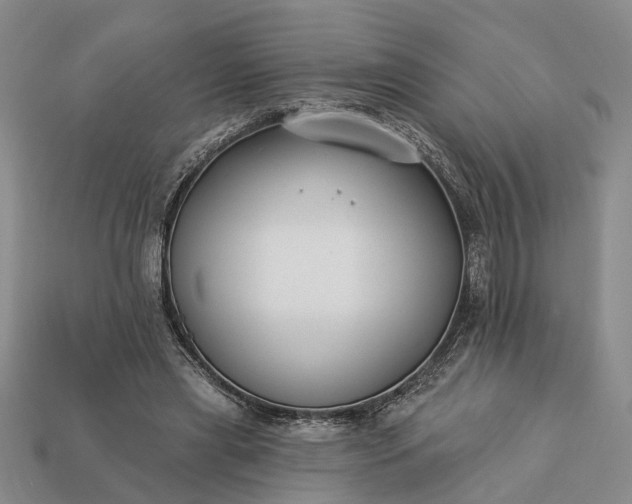 X0000113270445200909241546