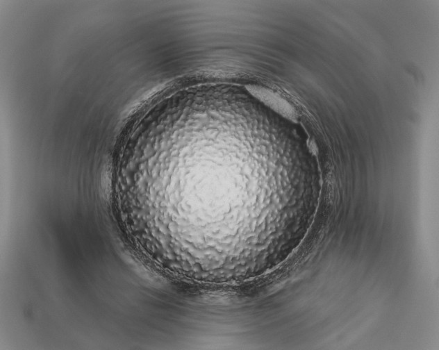 X0000113270446200909241546