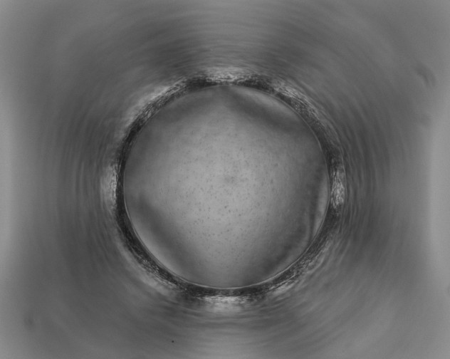 X0000113270448200909241546