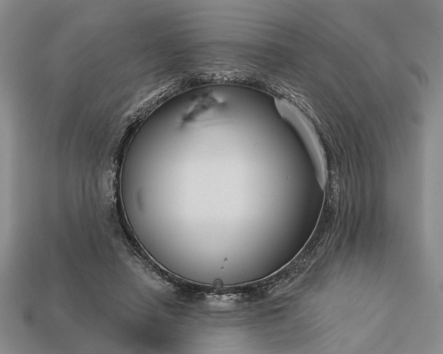 X0000113270450200909241546