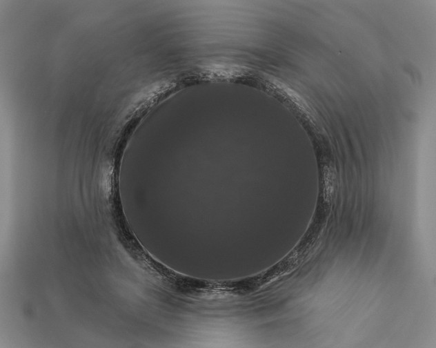 X0000113270451200909241546