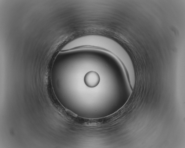 X0000113270452200909241546