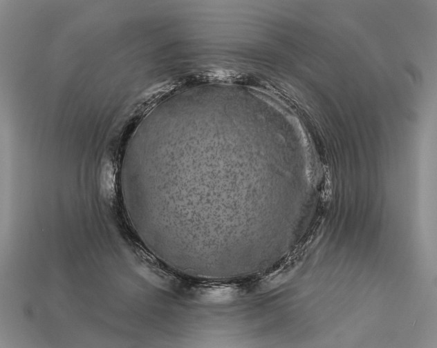 X0000113270456200909241546