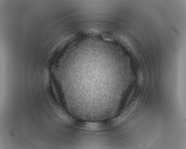 X0000113270457200909241546