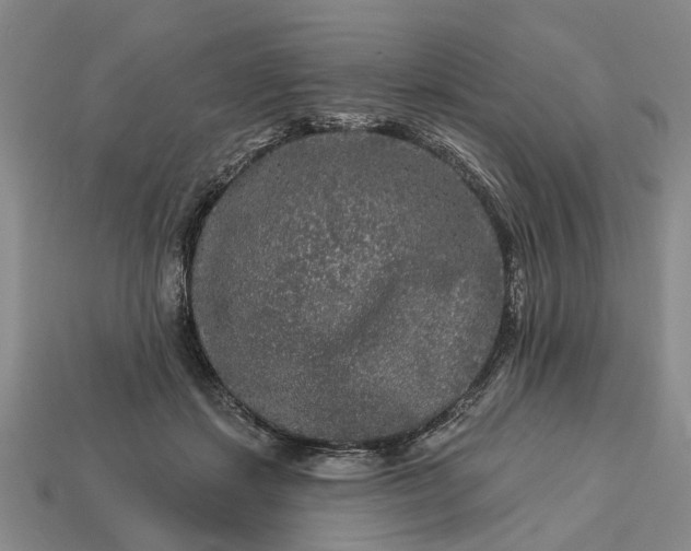 X0000113270459200909241546