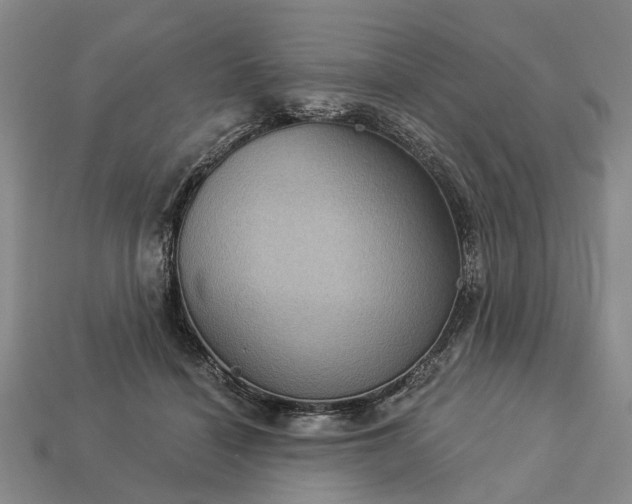 X0000113270460200909241546