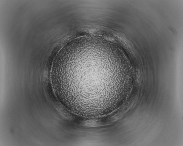 X0000113270461200909241546