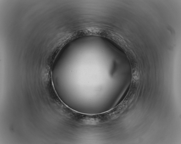X0000113270464200909241546