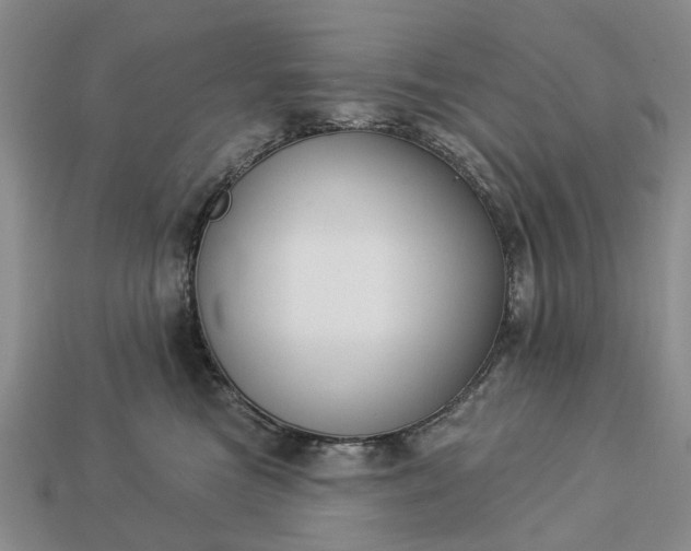 X0000113270473200909241547