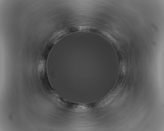 X0000113270475200909241547