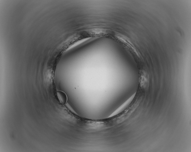 X0000113270476200909241547