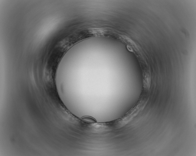 X0000113270477200909241547