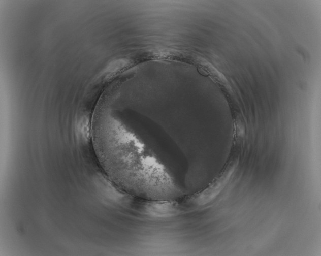 X0000113270479200909241547