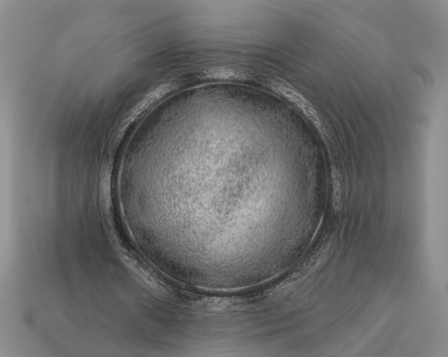 X0000113270482200909241546