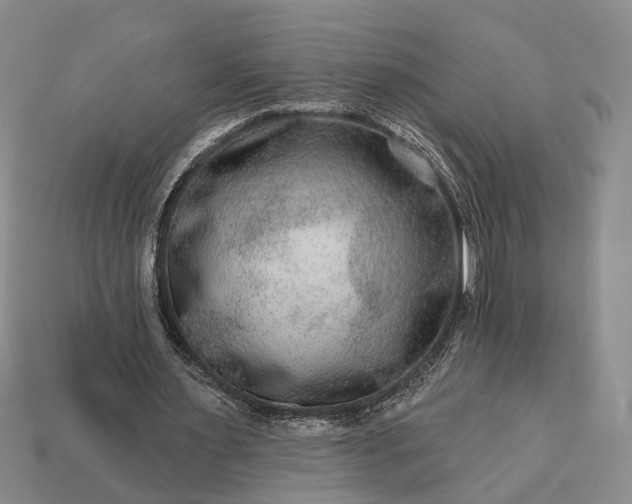 X0000113270483200909241546