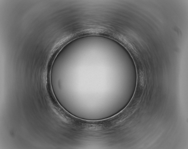 X0000113270486200909241546