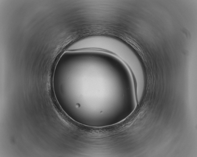 X0000113270489200909241546