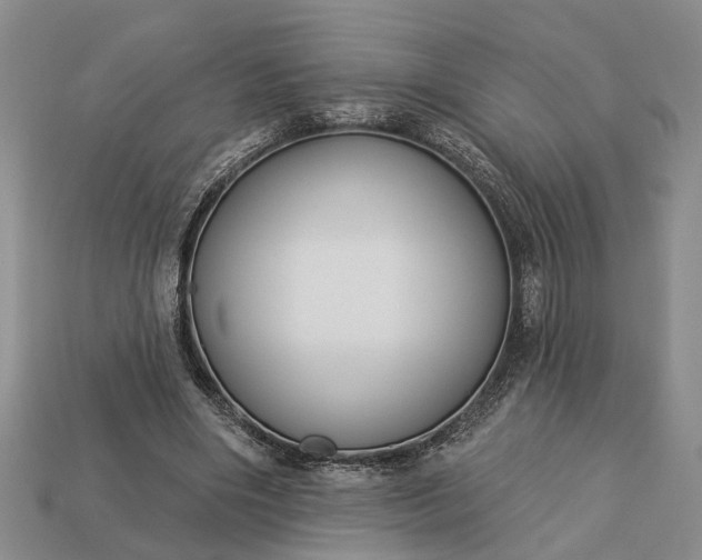 X0000113270490200909241546