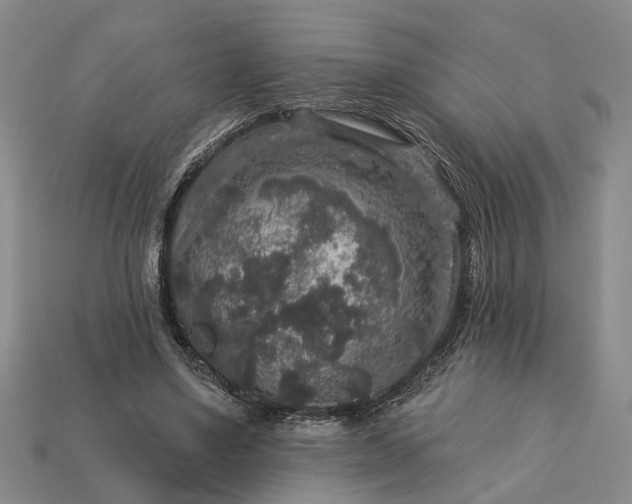 X0000113270491200909241546