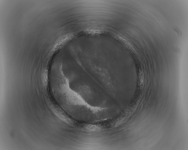 X0000113270494200909241546