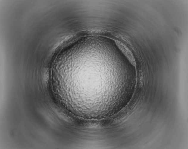 X0000113270495200909241546